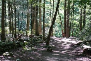 Gatlinburg trail in the smoky mountains