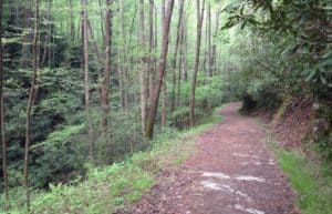 bote mountain trail in the smoky mountains