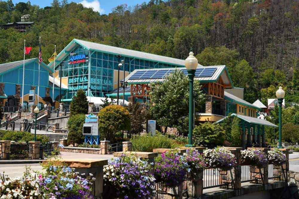 Ripley's Aquarium of the Smokies in Gatlinburg with flowers in front