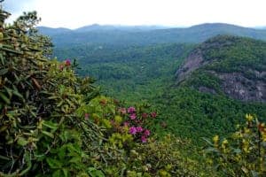 mountain view from Chimney Tops