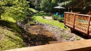 Creekside Cabin