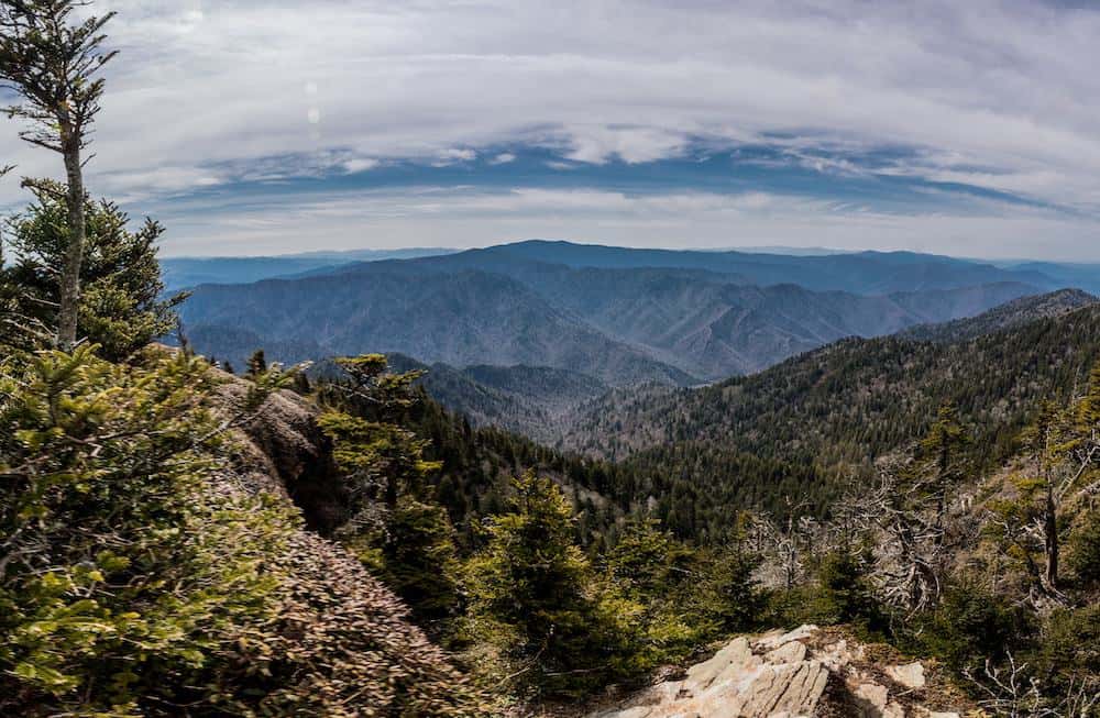 View from Mount LeConte