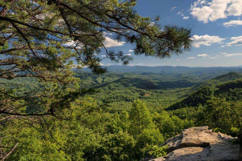 View from Look Rock