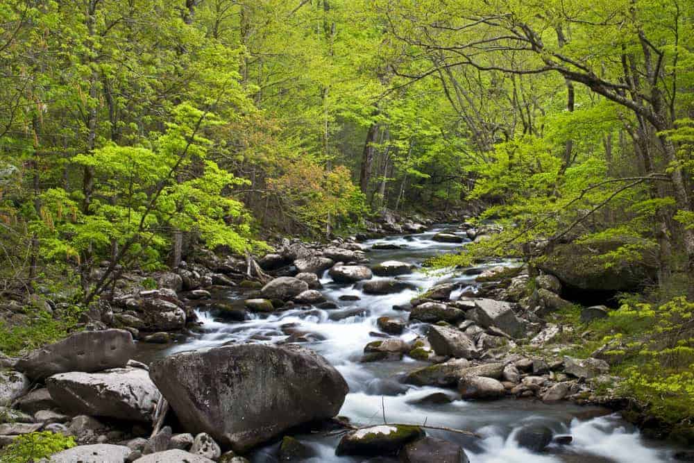 river in the smoky mountains