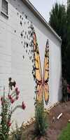 butterfly mural