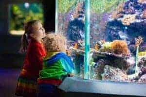 two kids in an aquarium