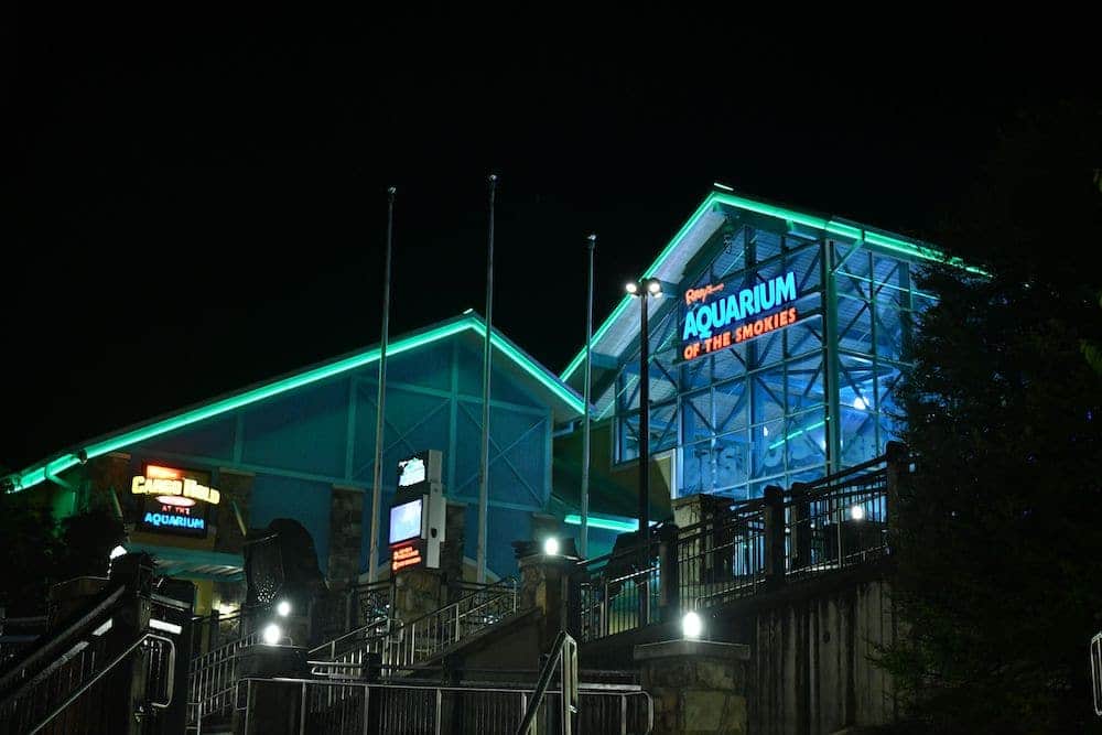 ripley's aquarium at night