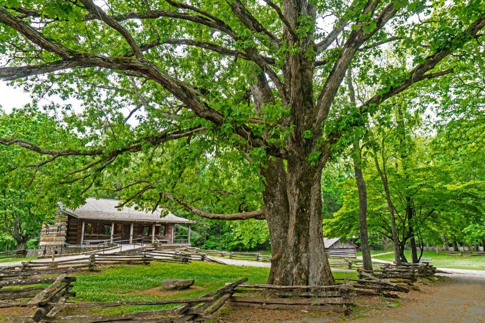 The Cades Cove Visitor Center is full of Cades Cove history