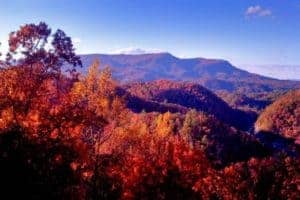 view from cabin in gatlinburg in the fall