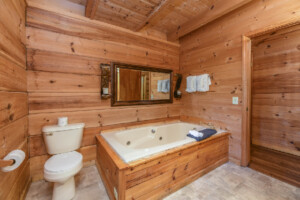 Mountaineers Retreat