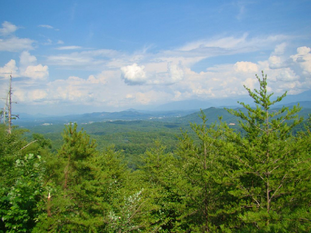 Eagle's View Cabin