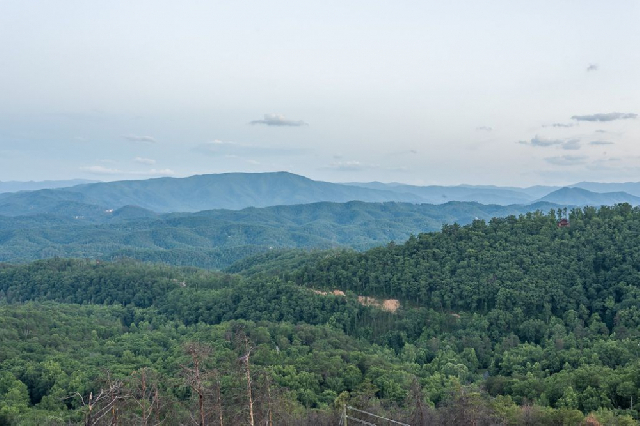 Eagle's View Cabin