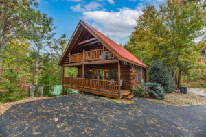 Black Bear Loft