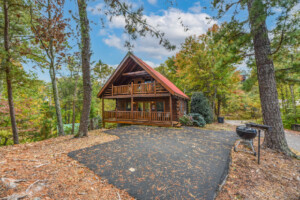 Black Bear Loft