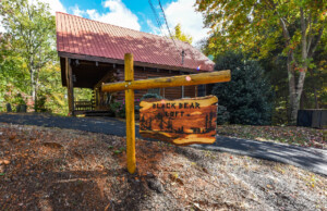 Black Bear Loft