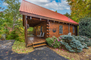 Black Bear Loft