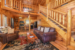 Black Bear Loft