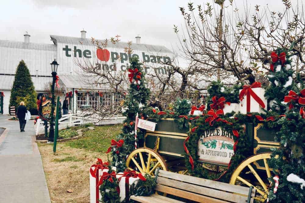 Apple Bard decorated for Christmas