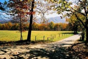 cades cove in the fall