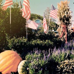 fall ripley's aquarium american flag