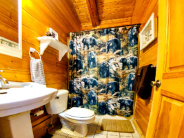 Cozy Cabin with Stunning Views! Sleeps 8. Close to Pigeon Forge & Gatlinburg!