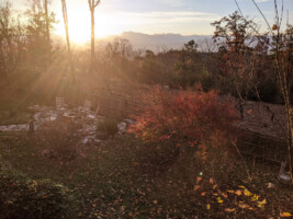 Laurel Creek Lodge