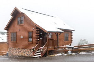 Forget Me Knot Cabin