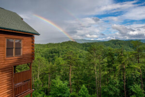 Forget Me Knot Cabin