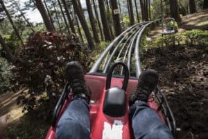 red coaster cart on a track