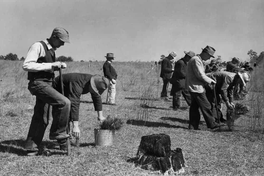 civilian conservation corps