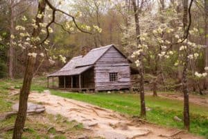 noah bud ogle cabin