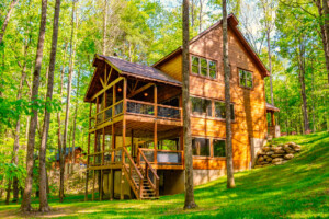 Splash Mountain Lodge