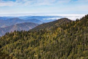 view from alum cave bluff to mount leconte