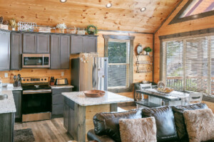 Kitchen/eating area