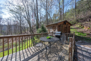 BARN CABIN IN THE VALLEY