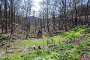 BARN CABIN IN THE VALLEY