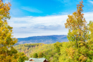 Rocky Top Swimmin\' Spot