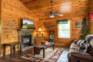 Spacious living room. 