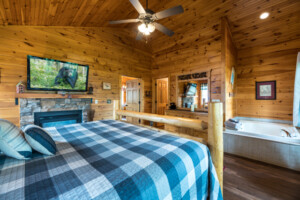 Fireplace and large tv in Master Bedroom