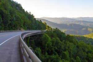 foothills parkway in the summer