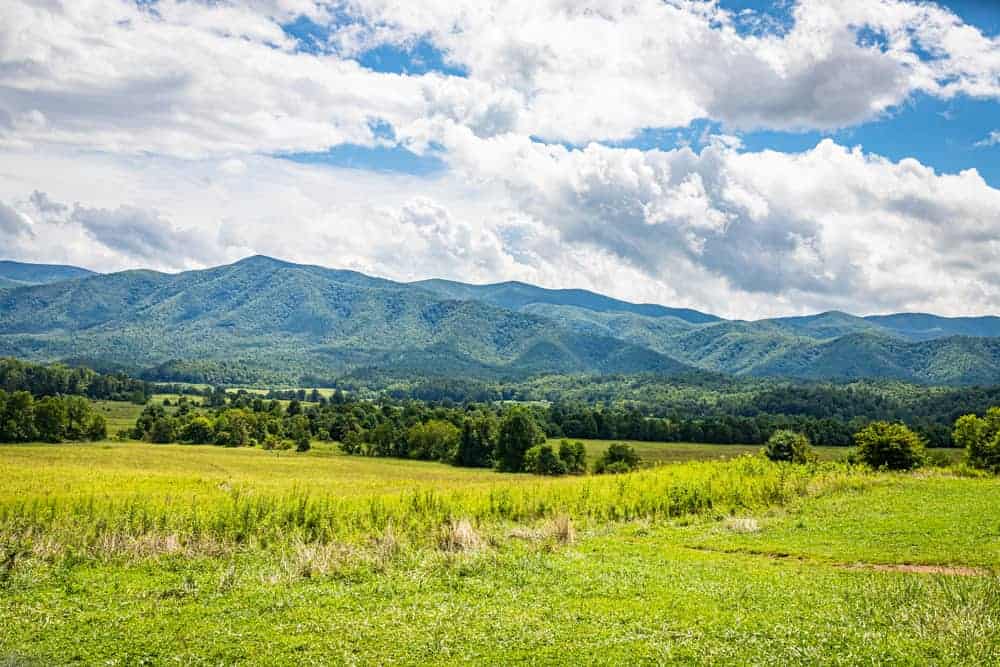 cades cove field