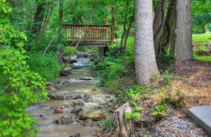 creekside tiny cabin