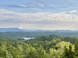 Buck View Lodge