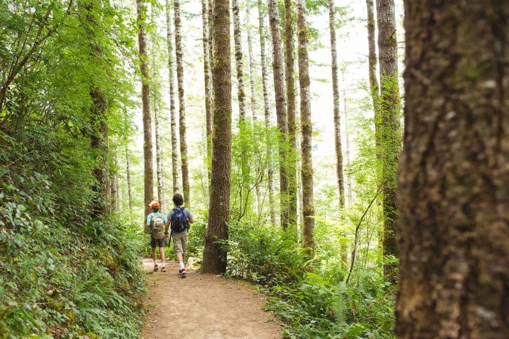 kids hiking