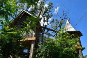 treehouse at anakeesta