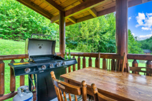 Grill and outdoor dining on back porch