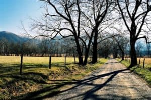 Cades Cove Road 