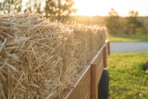 Hayride 