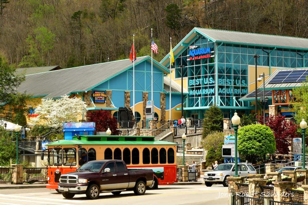 Kid Friendly Attractions In Gatlinburg