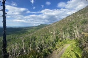 bullhead trail in the smoky mountains